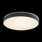 10001/36 Grey Потолочный светильник LOFT IT Axel — изображение 3