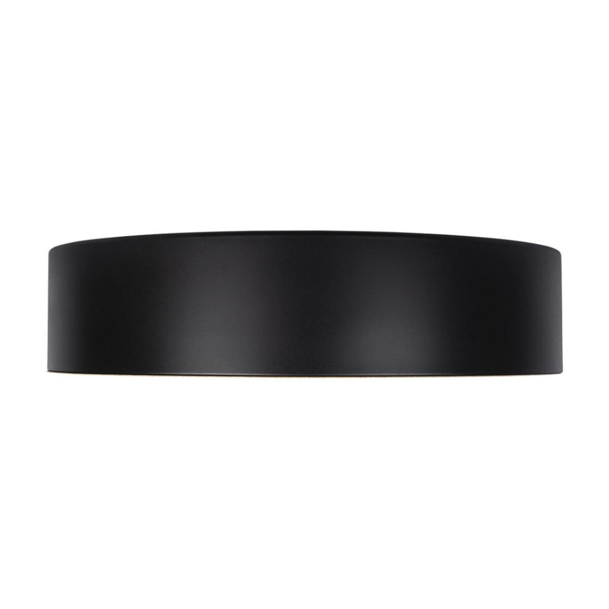 10202 Black Потолочный светильник LOFT IT Coin — изображение 5