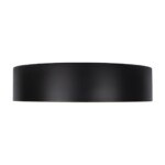 10202 Black Потолочный светильник LOFT IT Coin — изображение 5