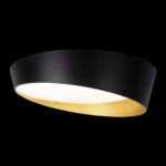 в наличии 10199 Black Потолочный светильник LOFT IT Coin - купить в интернет-магазине Светильники Торг