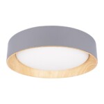 в наличии 10202 Grey Потолочный светильник LOFT IT Coin - купить в интернет-магазине Светильники Торг