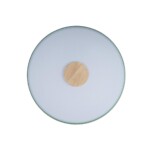 10003/24 Green Потолочный светильник LOFT IT Axel — изображение 3