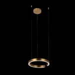 в наличии 10013S Подвесной светильник LOFT IT Ring - купить в интернет-магазине Светильники Торг