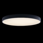 10002/48 Black Потолочный светильник LOFT IT Axel — изображение 2