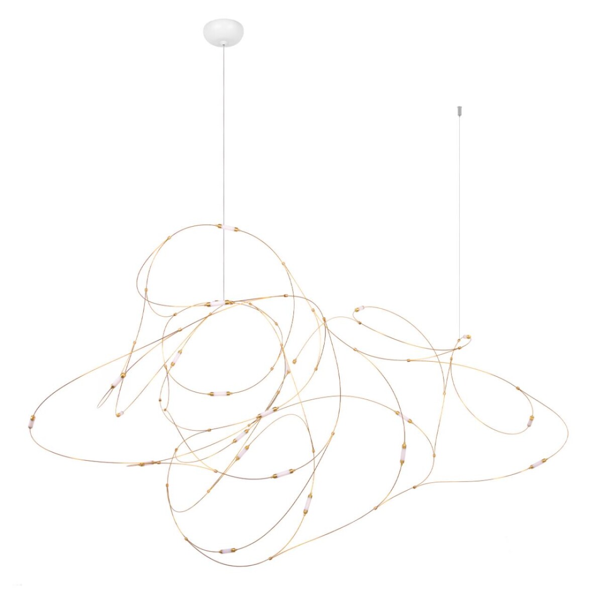 be46ca0de411d55a8cb34d61a1512475 10309/21 Подвесной светильник LOFT IT Flock of Light — изображение 1