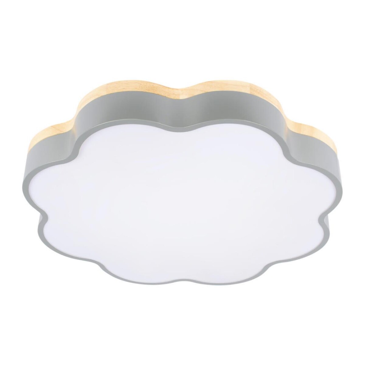 10225/36 Grey Потолочный светильник LOFT IT Axel — изображение 1