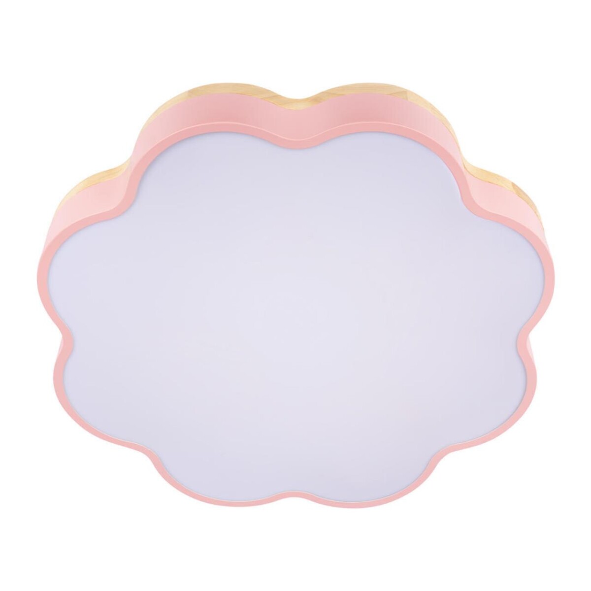 10225/36 Pink Потолочный светильник LOFT IT Axel — изображение 5