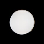 10004/36 White Потолочный светильник LOFT IT Axel — изображение 6