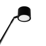 в наличии 10374/2000 Торшер LOFT IT Sampei - купить в интернет-магазине Светильники Торг