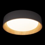 в наличии 10202 Grey Потолочный светильник LOFT IT Coin - купить в интернет-магазине Светильники Торг