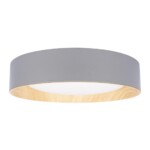 в наличии 10202 Grey Потолочный светильник LOFT IT Coin - купить в интернет-магазине Светильники Торг