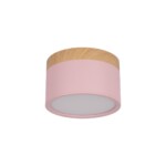 в наличии 10162 Pink Накладной светильник LOFT IT Grape - купить в интернет-магазине Светильники Торг