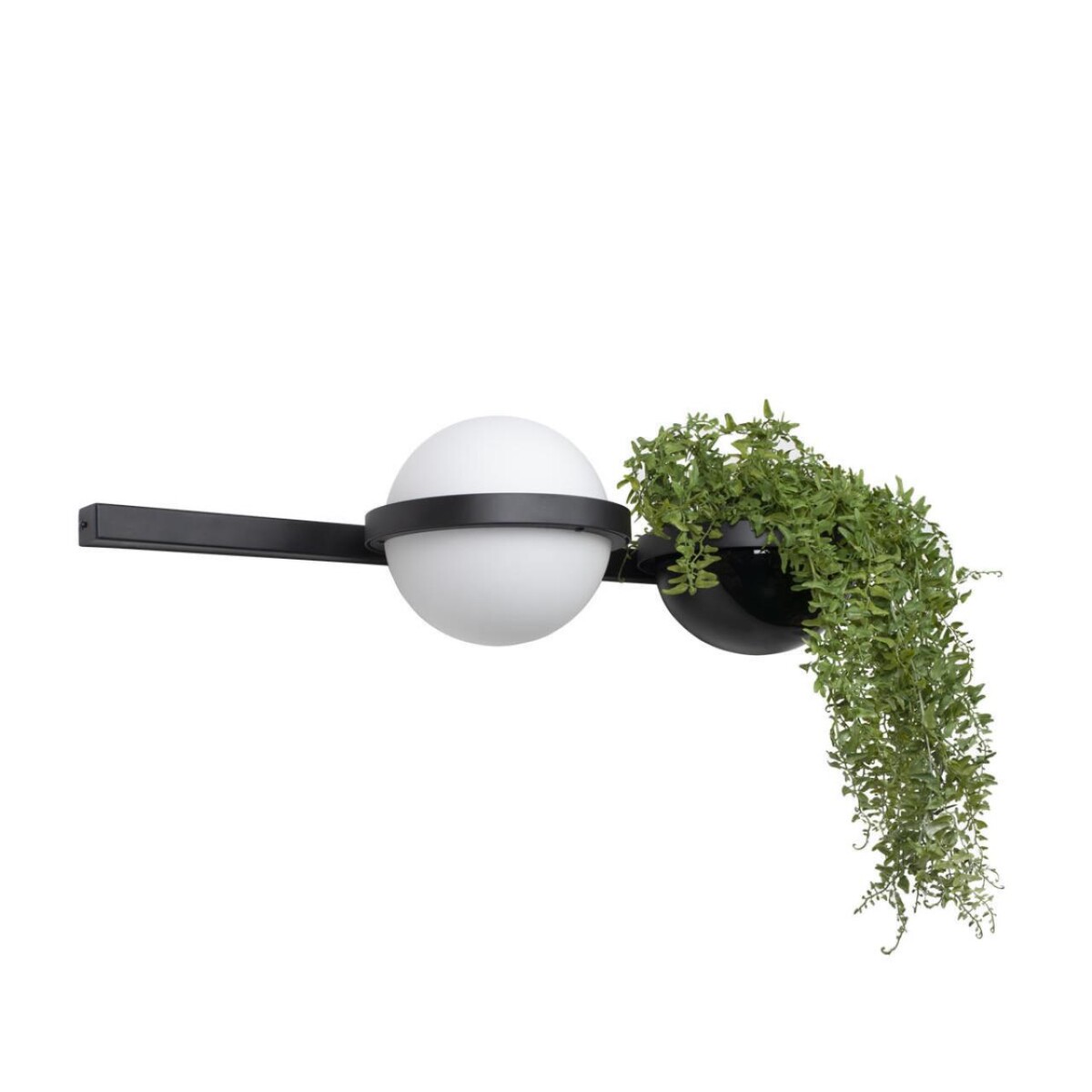 10121W/A Настенный светильник LOFT IT Jardin — изображение 3