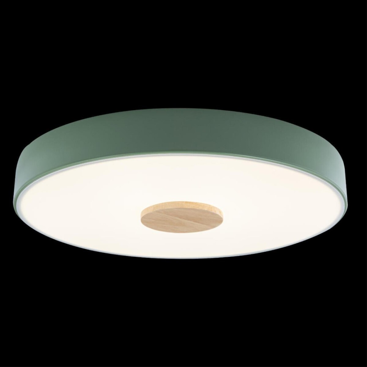 10003/24 Green Потолочный светильник LOFT IT Axel — изображение 2