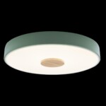 10003/24 Green Потолочный светильник LOFT IT Axel — изображение 2