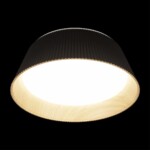 в наличии 10224 Black Потолочный светильник LOFT IT Evans - купить в интернет-магазине Светильники Торг