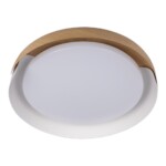 в наличии 10198 White Потолочный светильник LOFT IT Coin - купить в интернет-магазине Светильники Торг