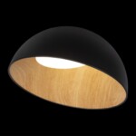 в наличии 10197/500 Black Потолочный светильник LOFT IT Egg - купить в интернет-магазине Светильники Торг
