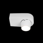 в наличии 10320 White Накладной светильник LOFT IT Quiet - купить в интернет-магазине Светильники Торг
