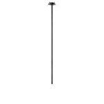 в наличии 10359/1000 Black Потолочный светильник LOFT IT Cane - купить в интернет-магазине Светильники Торг