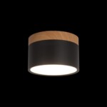 в наличии 10162 Black Накладной светильник LOFT IT Grape - купить в интернет-магазине Светильники Торг