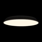 в наличии 10226 Black Потолочный светильник LOFT IT Brim - купить в интернет-магазине Светильники Торг