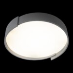 в наличии 10200 Grey Потолочный светильник LOFT IT Coin - купить в интернет-магазине Светильники Торг