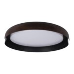 в наличии 10198 Black Потолочный светильник LOFT IT Coin - купить в интернет-магазине Светильники Торг