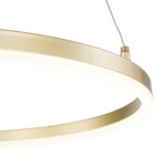Escada 10254/1 LED*43W Gold APP — изображение 5