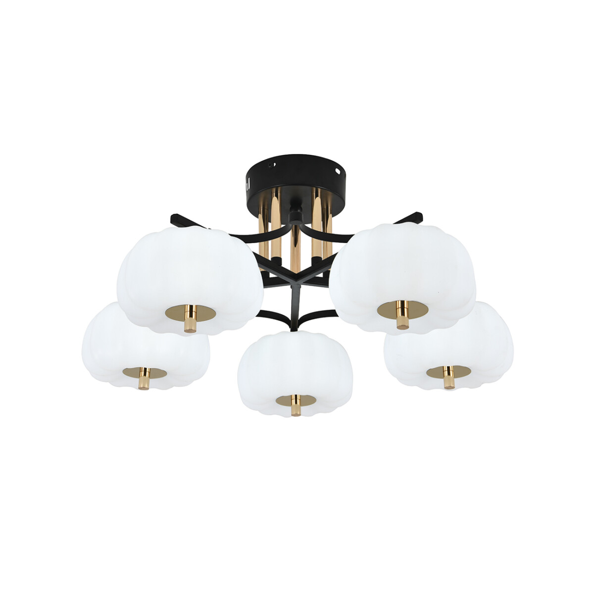 Escada 10301/5 LED*50W Black/Gold — изображение 3