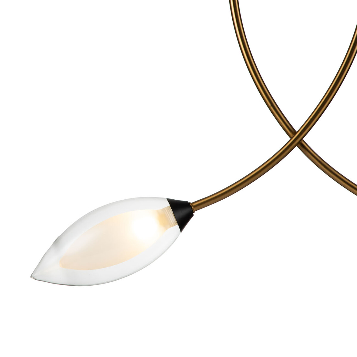 13001/2P Black — изображение 4