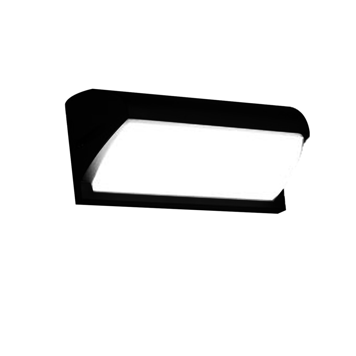 Escada 30002W/01 LED*30W IP65 Black — изображение 1