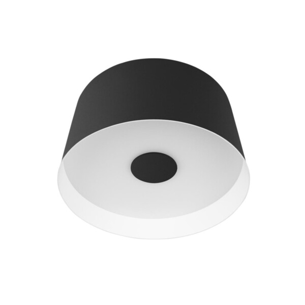 в наличии 10360S Black Потолочный светильник LOFT IT Duo - купить в интернет-магазине Светильники Торг