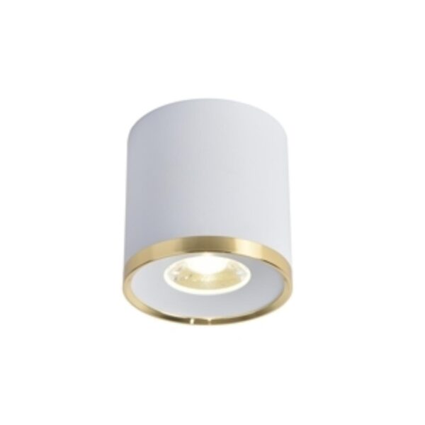 3085-2C, потолочный светильник, D88xH91, LEDx10W, 850LM, 4000K, IP20, included