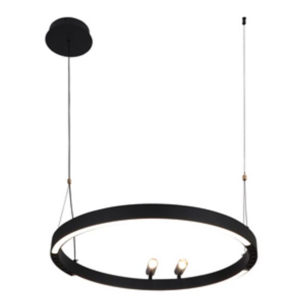4474-1P, подвесная люстра, D600xH1000/1800, LEDx58W + 2xLEDx3W, 1860LM, 3000-6500K, included, remote control