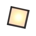 SL077.402.01 Светильник уличный потолочный ST-Luce Черный/Белый LED 1*12W 3000K CUBISTA — изображение 6