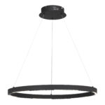 SL6238.433.01 Светильник подвесной ST-Luce черный/черный LED 1*32W 4000K ПАРИЛЛА