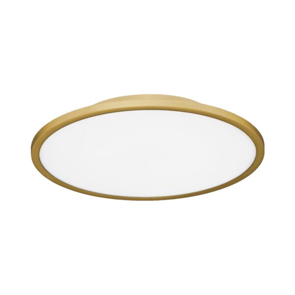 SLE1811-202-01 Светильник потолочный Золотистый/белая LED 1*42W 4000K ТАССЕН