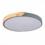 SLE200972-01 Светильник потолочный Серый, Светлое дерево/Белый LED 1*45W 3000K/4000K/6000K ФЕСТА — изображение 4