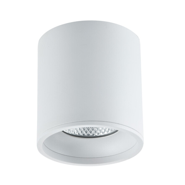 в наличии ST165.542.12 Светильник потолочный Белый LED 1*12W 4000K 840Lm Ra>90 36° IP44 D80xH85 85-265V Накладные светильники - купить в интернет-магазине Светильники Торг