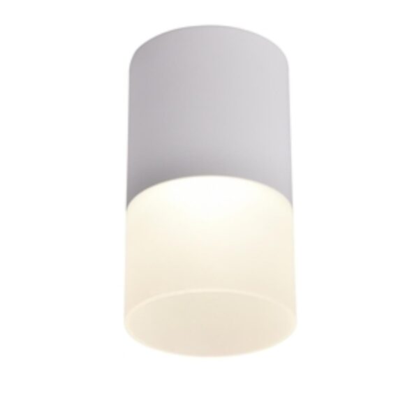 3069-1C, потолочный светильник, D64xH110, LEDx5W, 400LM, 4000K, IP20, included