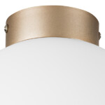 в наличии 812023 Люстра GLOBO 1х40W E14 ШАМПАНЬ/БЕЛЫЙ - купить в интернет-магазине Светильники Торг