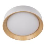 10202 White Потолочный светильник LOFT IT Coin — изображение 3