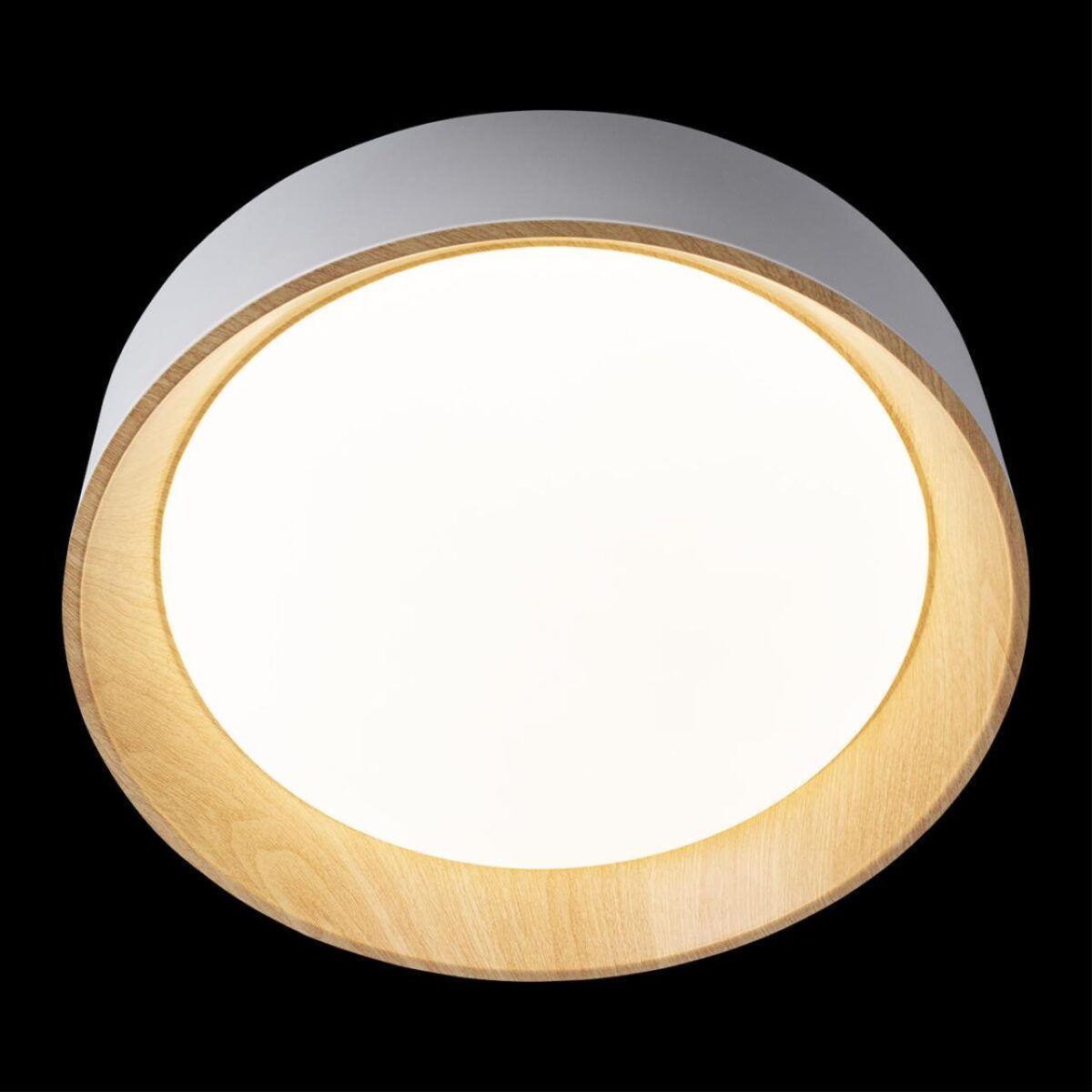 10202 White Потолочный светильник LOFT IT Coin — изображение 4