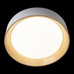 10202 White Потолочный светильник LOFT IT Coin — изображение 4