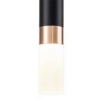 Escada 10217/1 LED*8W Black/Gold — изображение 3