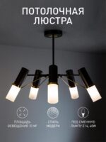 2558-5P — изображение 2