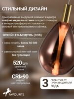 4256-1P — изображение 4