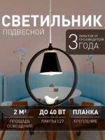2938-1P — изображение 2