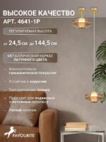 4641-1P — изображение 4